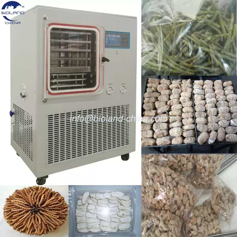 factory price food freeze dryer/vacuum freeze dryer china/freeze drying Lyophilizer Machine for Instant coffee