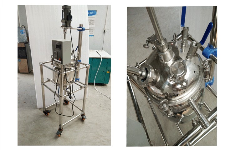 stainless steel reactor