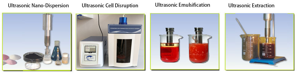 small probe sonicator