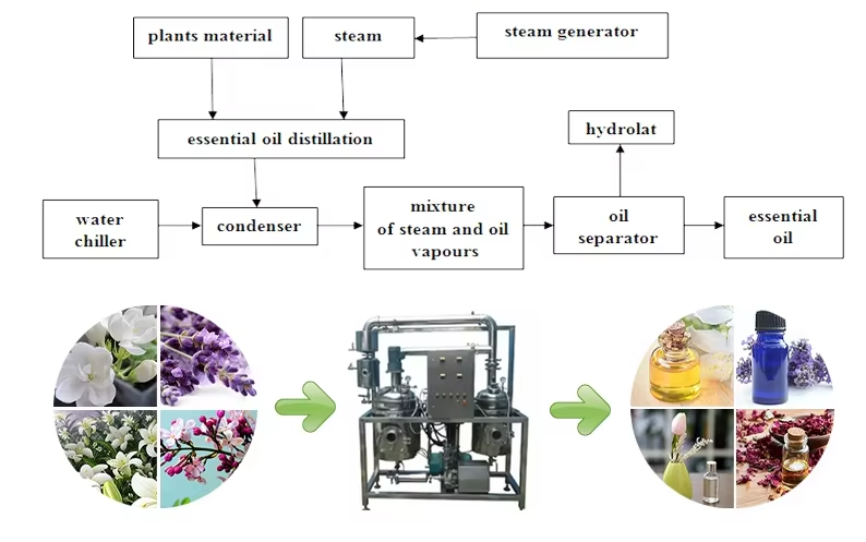 used extraction equipment