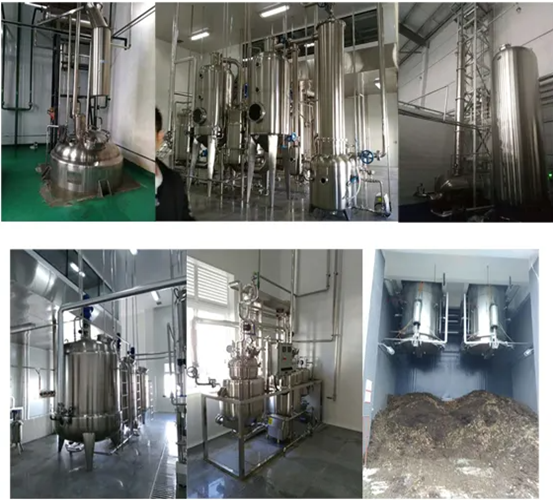 ultrasonic extraction coffee