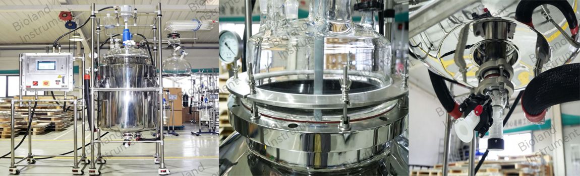 Bioland instrument-100L customize reactors