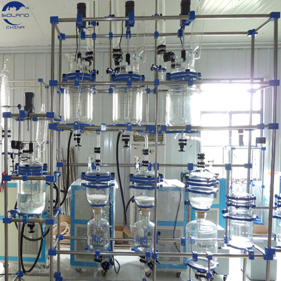 Customize Double Layer Jacket Glass Lined Reactor for University Laboratory