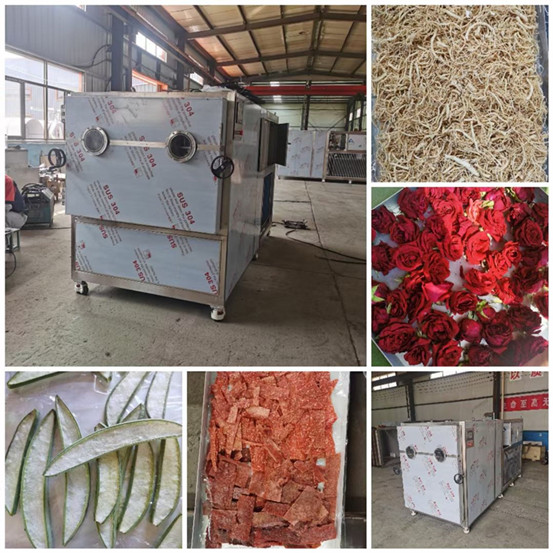 Industrial Freeze Dryer for Pharma&Biological Pilot Scale Freeze Dryer