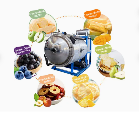 industrial food cryogenic Lyophilizer Liofilizador Machine for Freeze Dried Drying