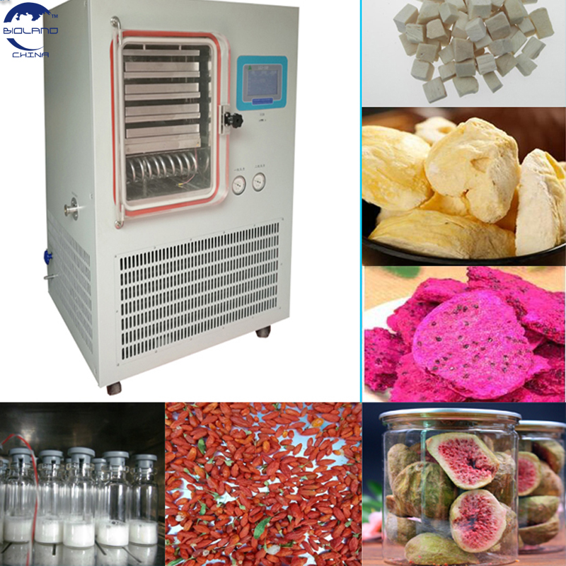 pharmaceutical Pilot Freeze Drying Lyophilizer equipment for Bacteria Fungi Peptide Vaccine
