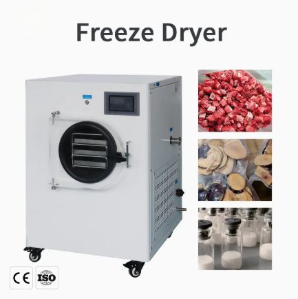 Household Fruit Vegetable Freeze Machine Home vacuum Freeze Dryer for Sale