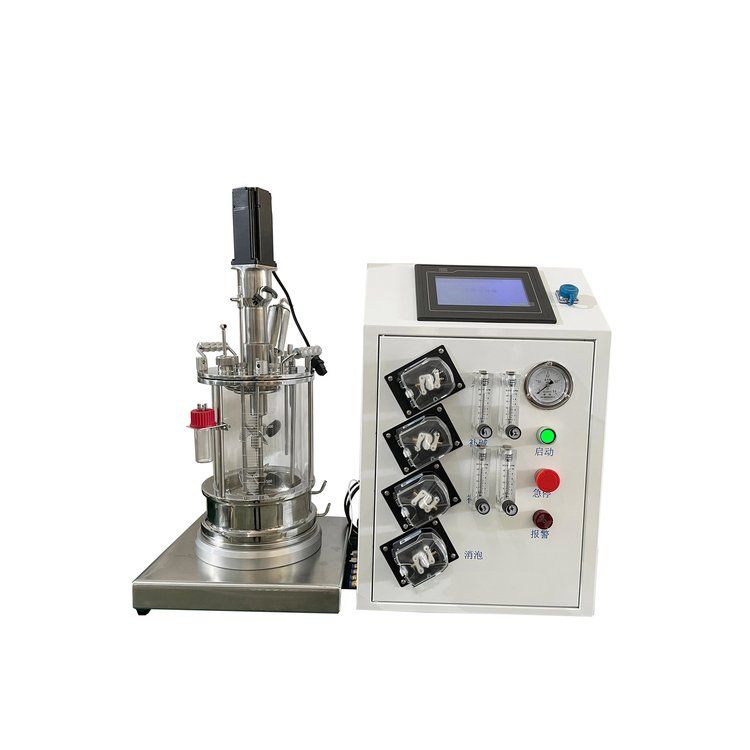 Glass Lab Bioreactor Benchtop Bioreactor Algae 10L