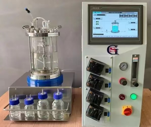 Lab Benchtop Yeast Production Fermenter 
