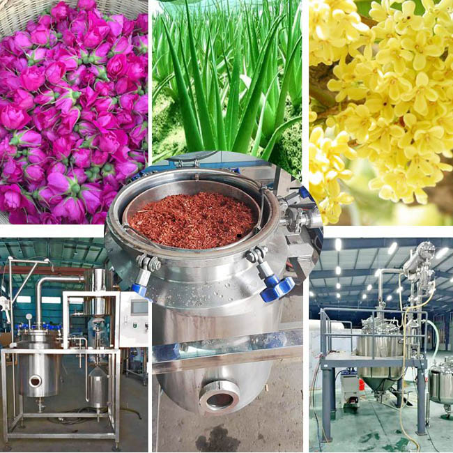 steam distillation apparatus for essential oils